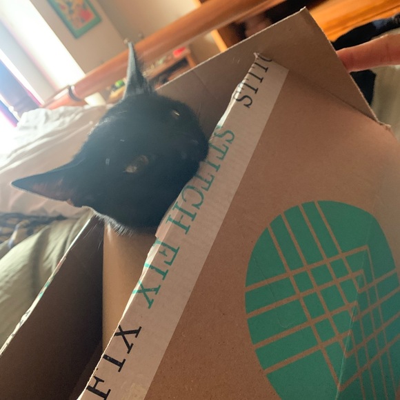 Meet your Posher, Kelly - Picture 5 of 5